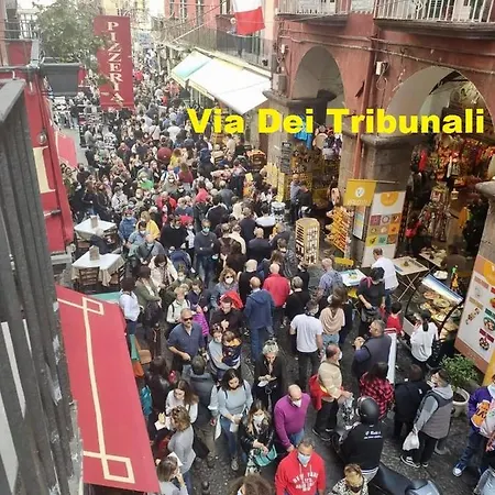 Appartement Forever *