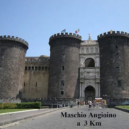 Forever Napoli